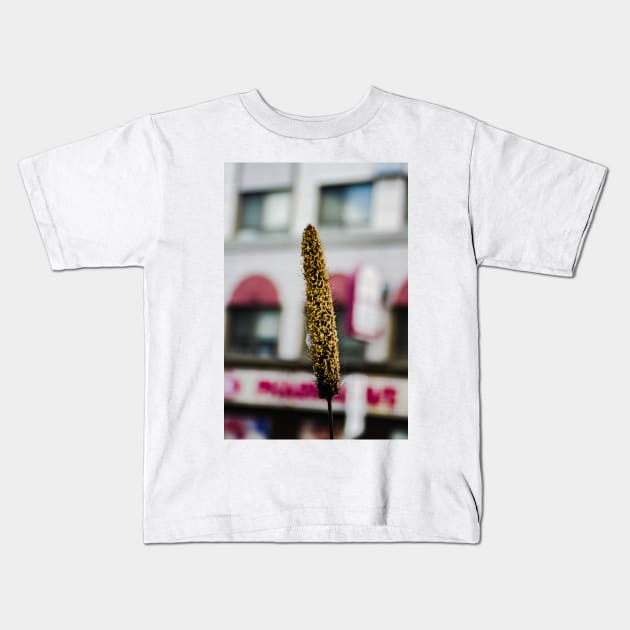 Cat tail seeding Kids T-Shirt by srosu